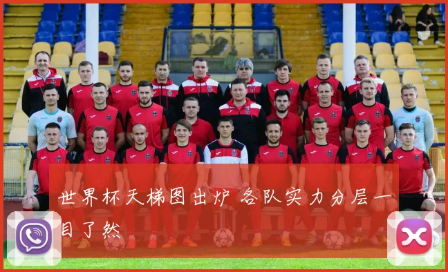 世界杯天梯图出炉 各队实力分层一目了然