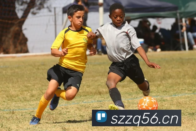 mksports体育 - mksports体育(中国)官方网站APP 封面图